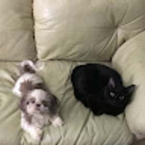 Meet your Posher, Joseph